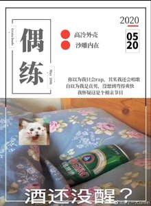 偶像練習生之偶像的親媽粉系統